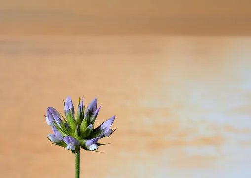 清晰走势图表